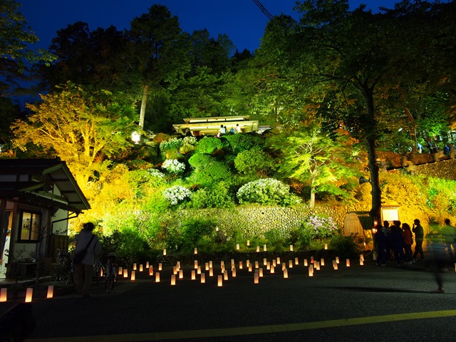 楽山苑ライトアップイメージ