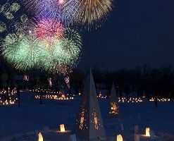 長岡雪しか祭り