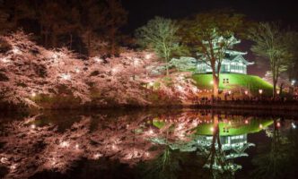 新潟県内の桜