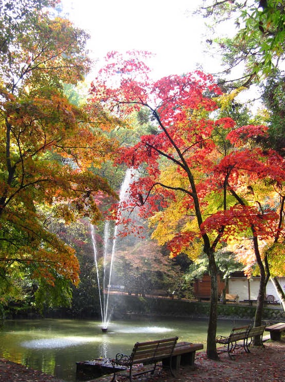 加茂山公園イメージ