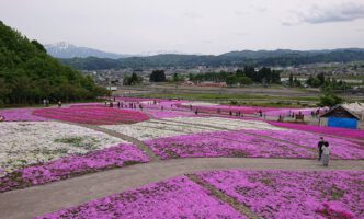 魚沼芝桜まつり