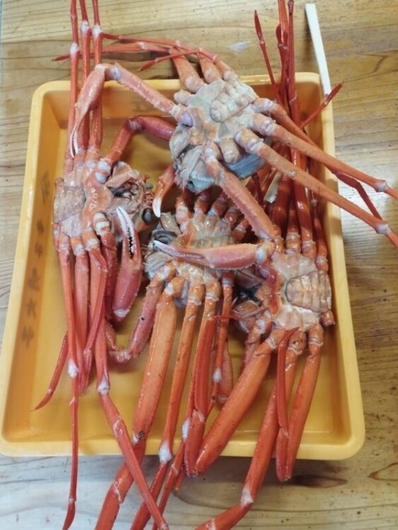 誕生日休暇イメージ