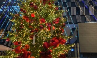 Aollumination 2025-2026