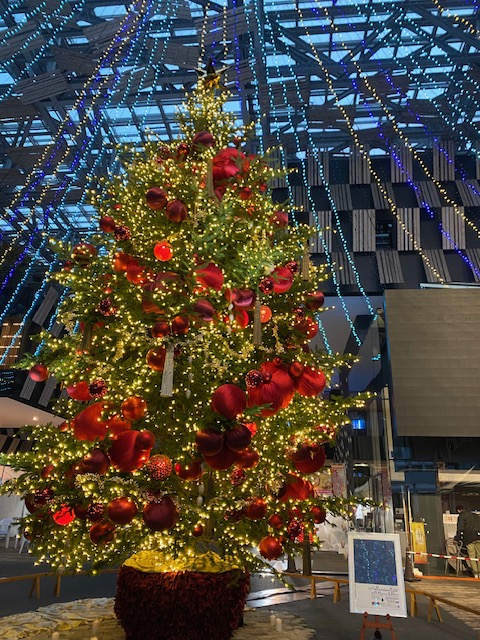 Aollumination 2025-2026イメージ