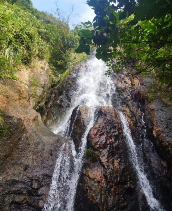 弥彦様お清めの滝イメージ