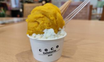 世界一のジェラート